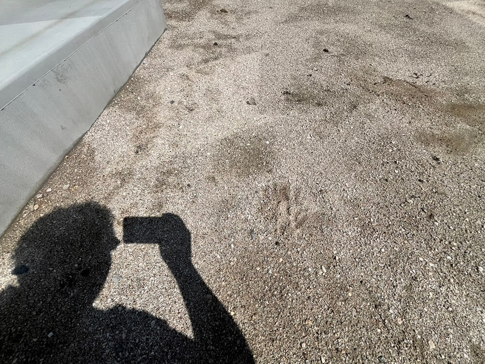 西区草津梅が台新築