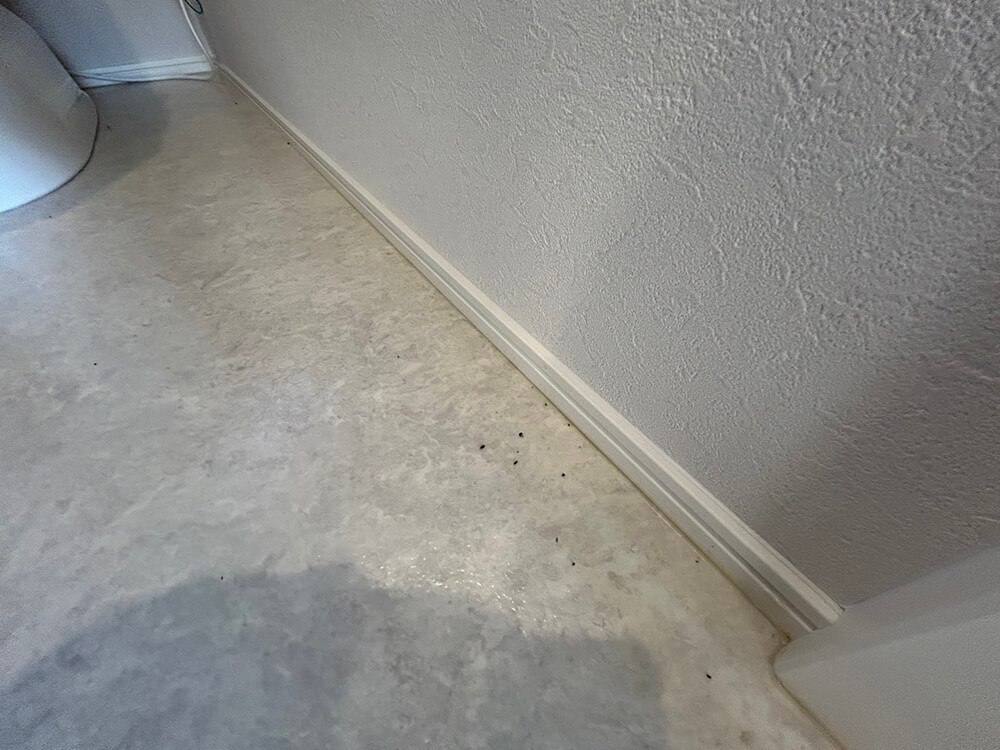 呉市焼山桜ヶ丘二丁目新築No.2