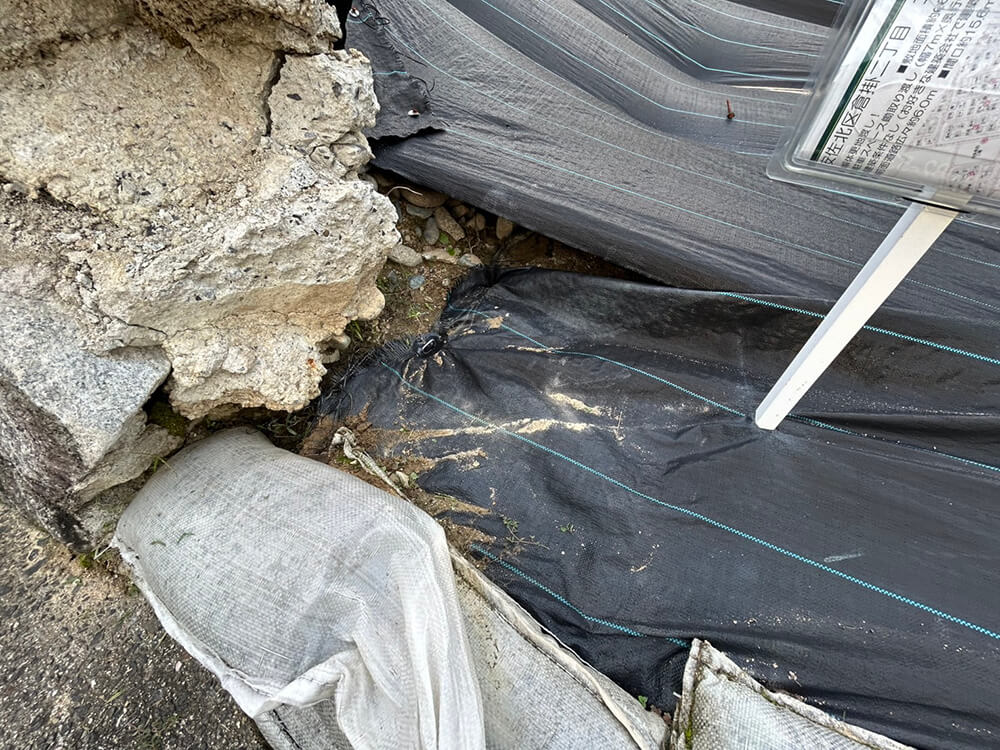 安佐北区倉掛二丁目土地