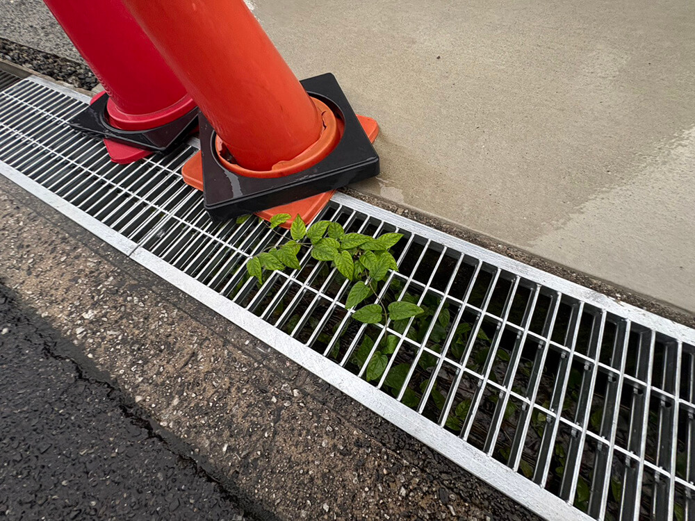 佐伯区藤の木二丁目新築