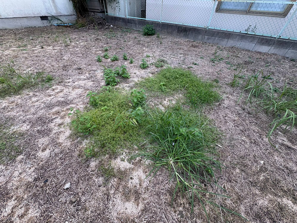 南区皆実町六丁目土地