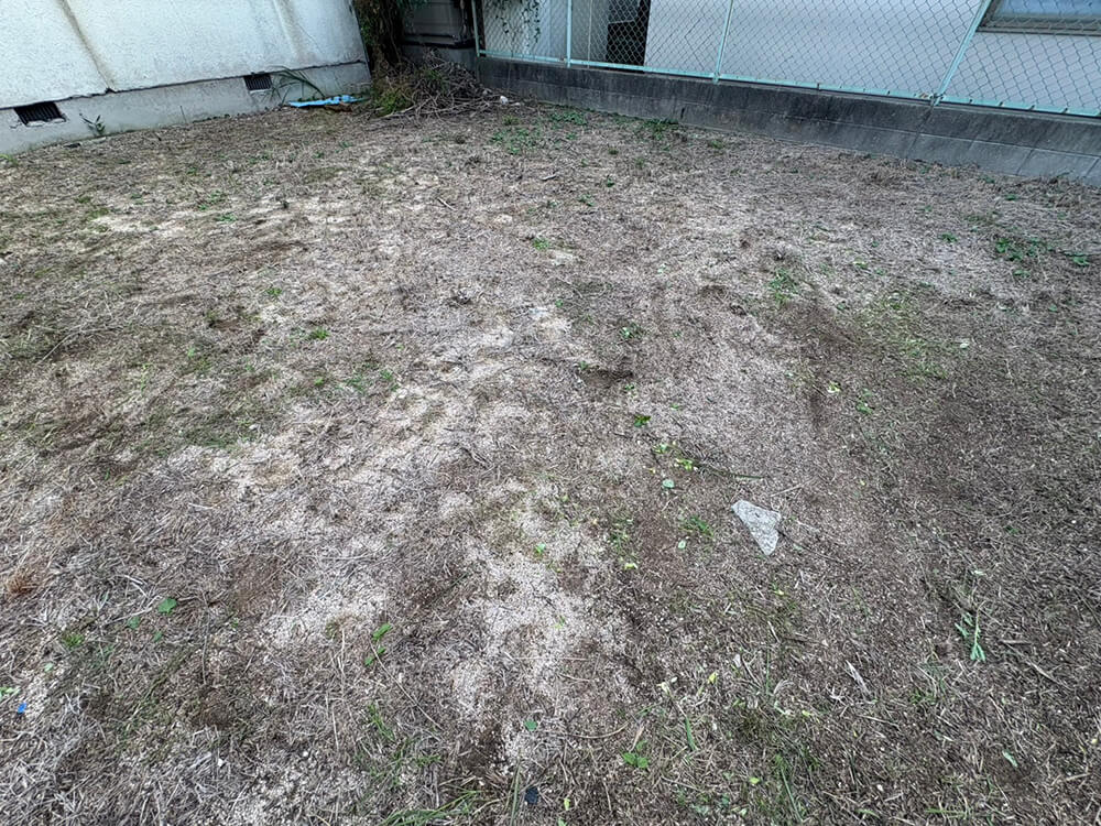 南区皆実町六丁目土地