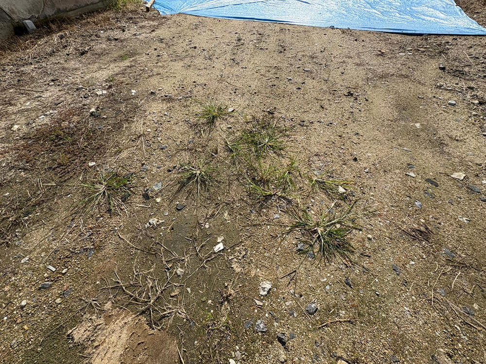 南区翠五丁目土地 3区画