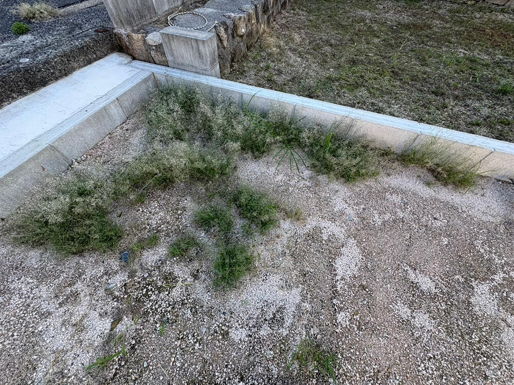 大竹市玖波二丁目土地