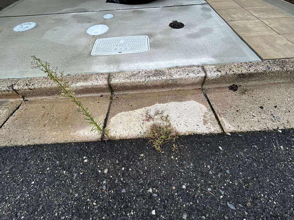 安佐南区川内四丁目新築