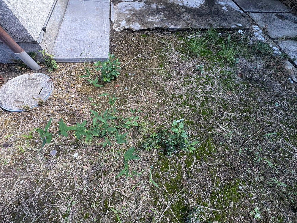 安佐南区高取南二丁目古家付土地