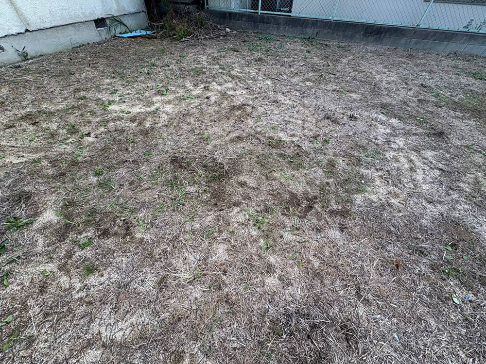 南区皆実町六丁目土地