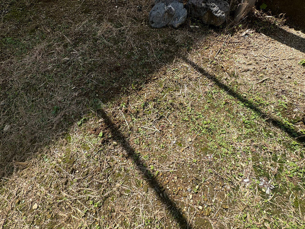 安佐南区高取南二丁目古家付土地