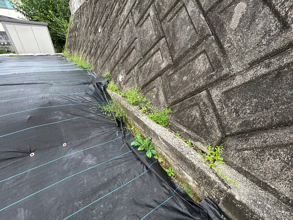 安佐北区倉掛二丁目土地