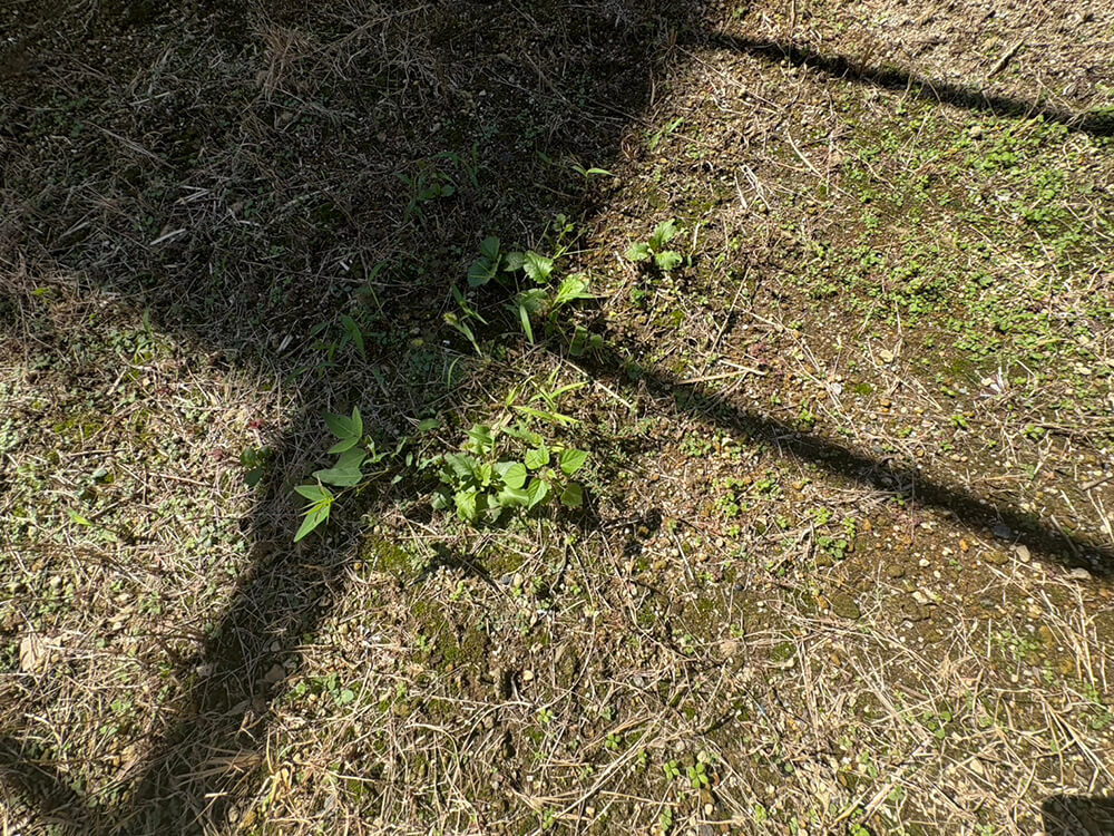 安佐南区高取南二丁目古家付土地