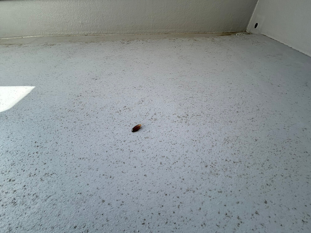 呉市焼山桜ヶ丘二丁目新築No.2