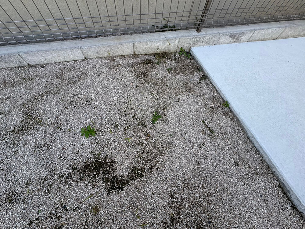 安佐南区川内二丁目新築