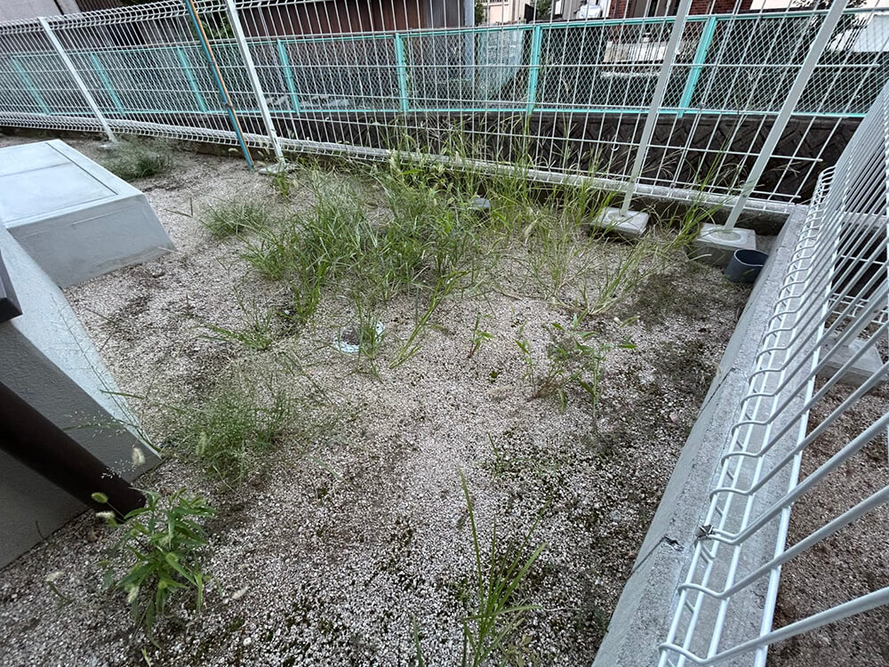 安佐北区亀山二丁目新築B棟