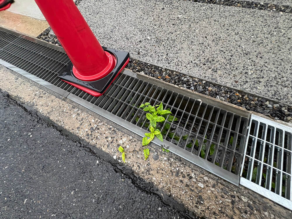 佐伯区藤の木二丁目新築