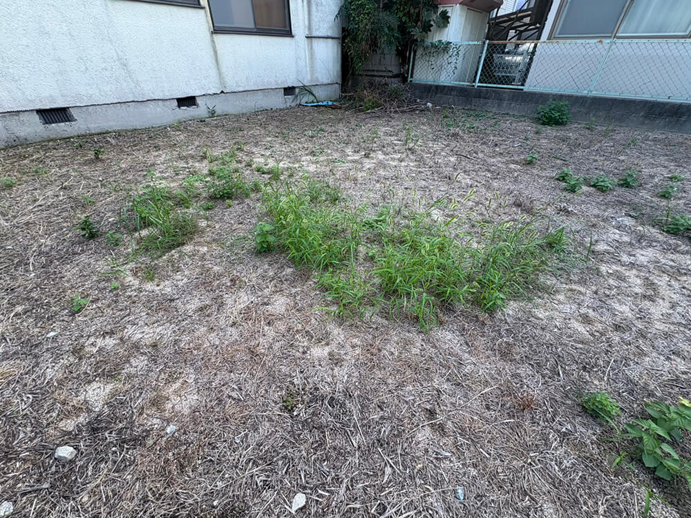 南区皆実町六丁目土地