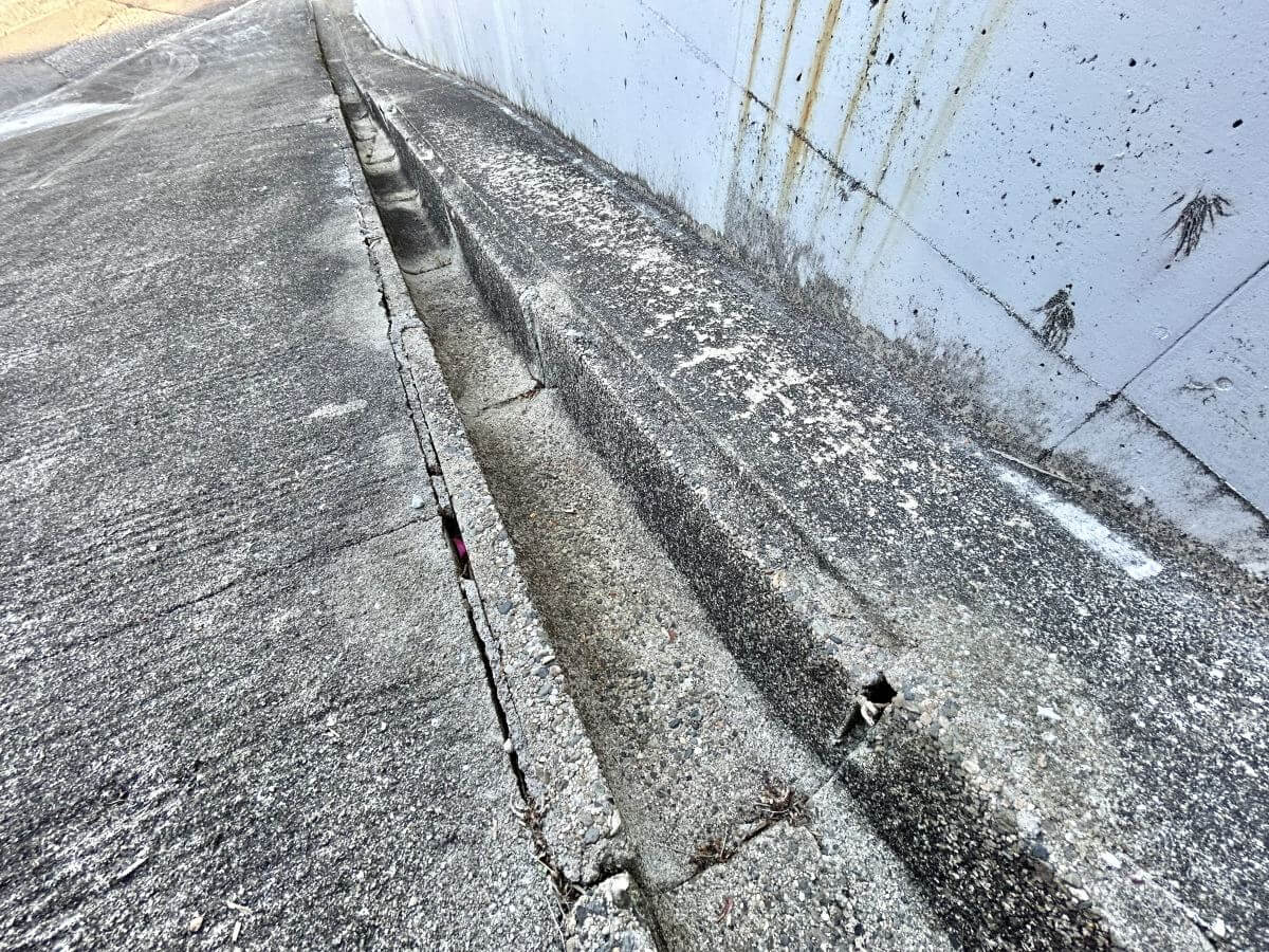 廿日市市八坂二丁目土地