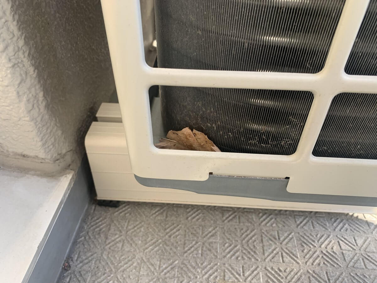 エバーグリーン江波山