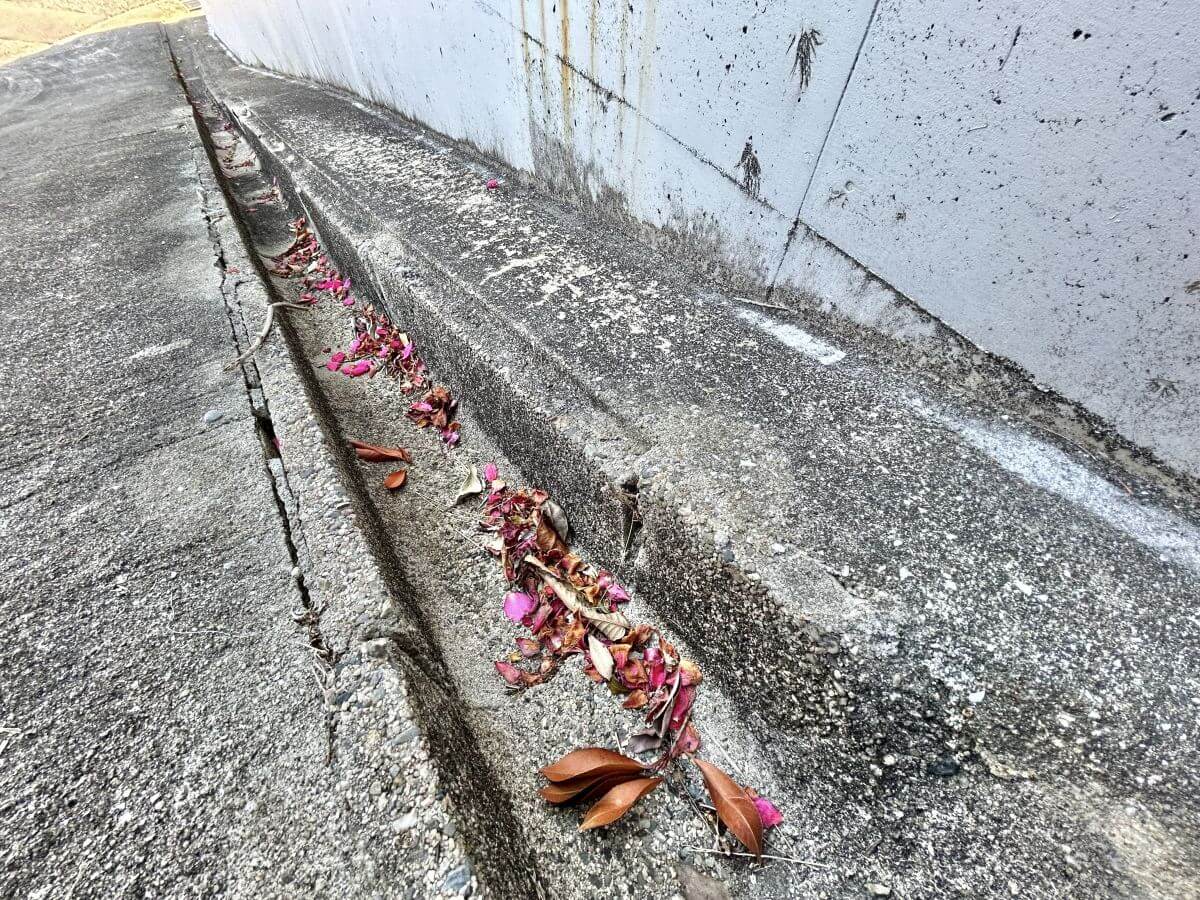 廿日市市八坂二丁目土地