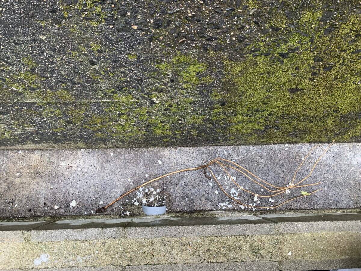 呉市焼山桜ヶ丘二丁目新築戸建№1