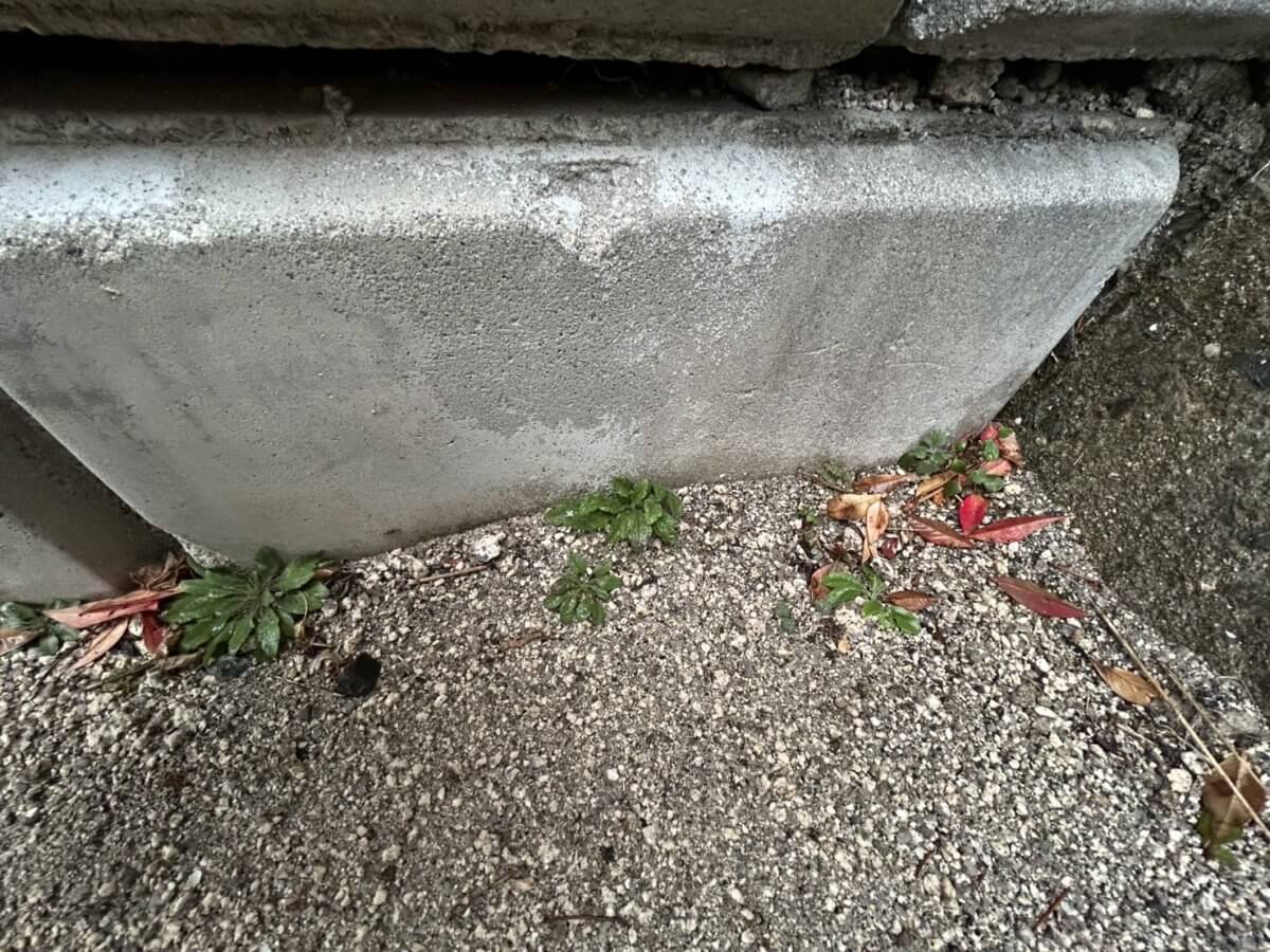 呉市焼山桜ヶ丘二丁目新築戸建№2