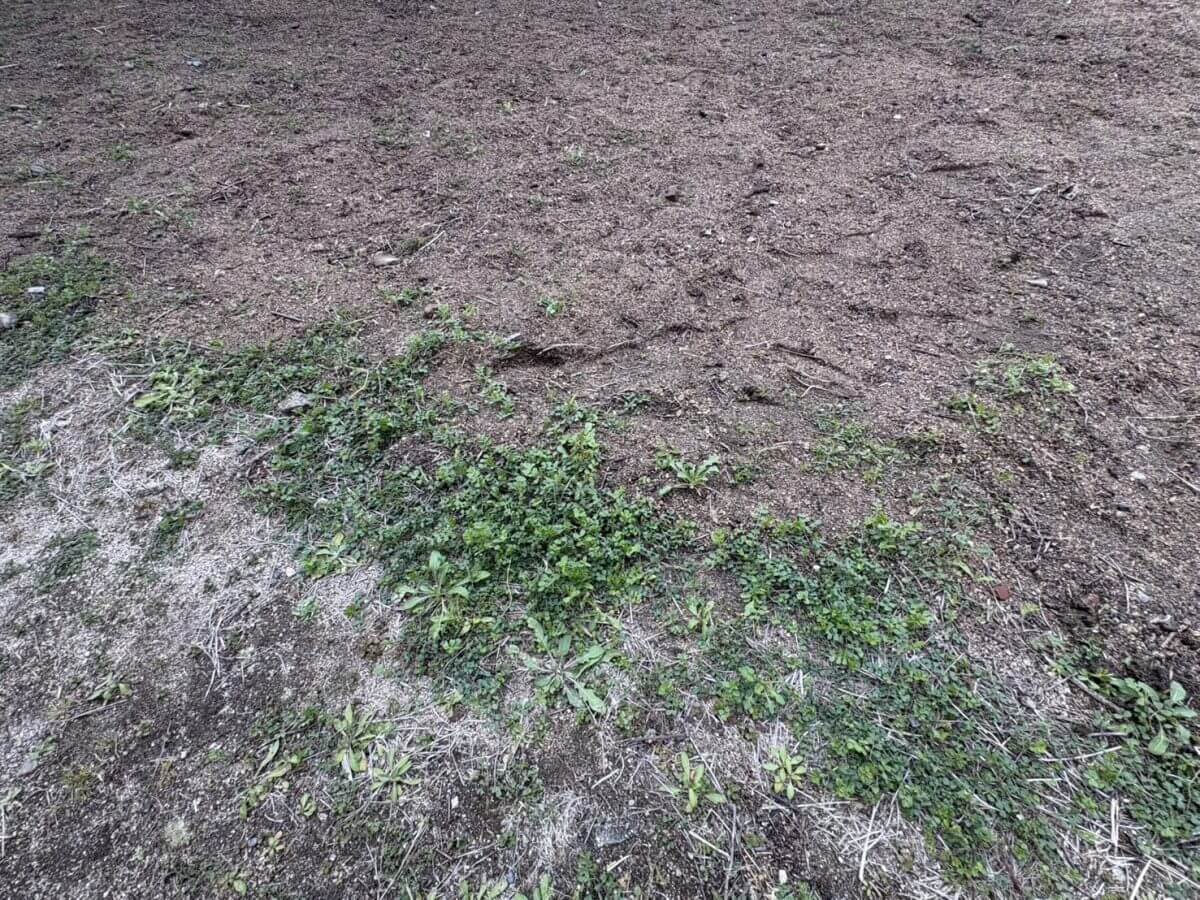 呉市焼山本庄三丁目戸建