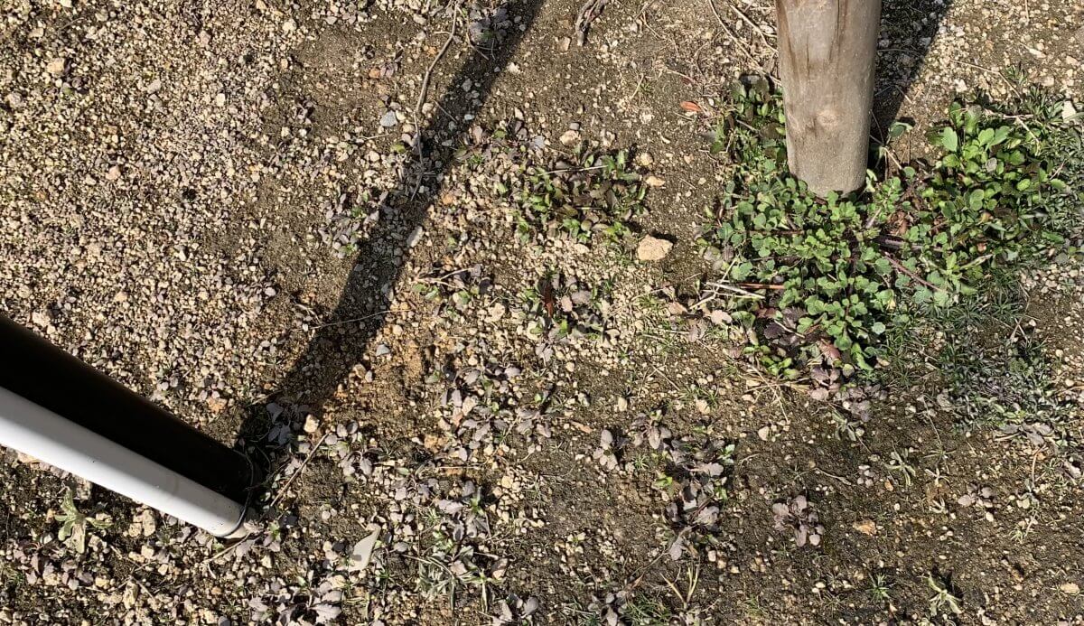 南区翠五丁目土地2区画（A-1、A-2）