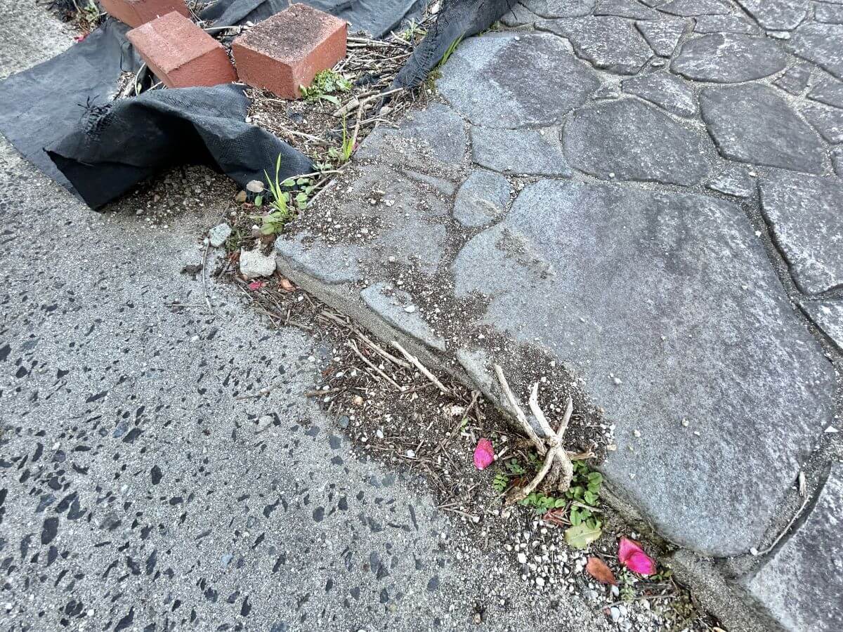 廿日市市八坂二丁目土地