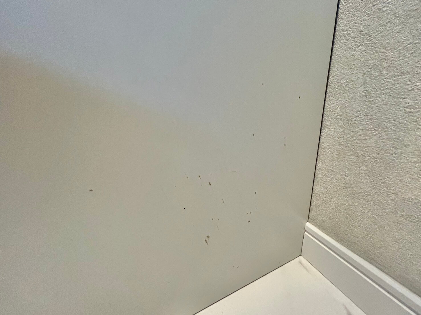 佐伯区八幡東二丁目新築戸建C棟