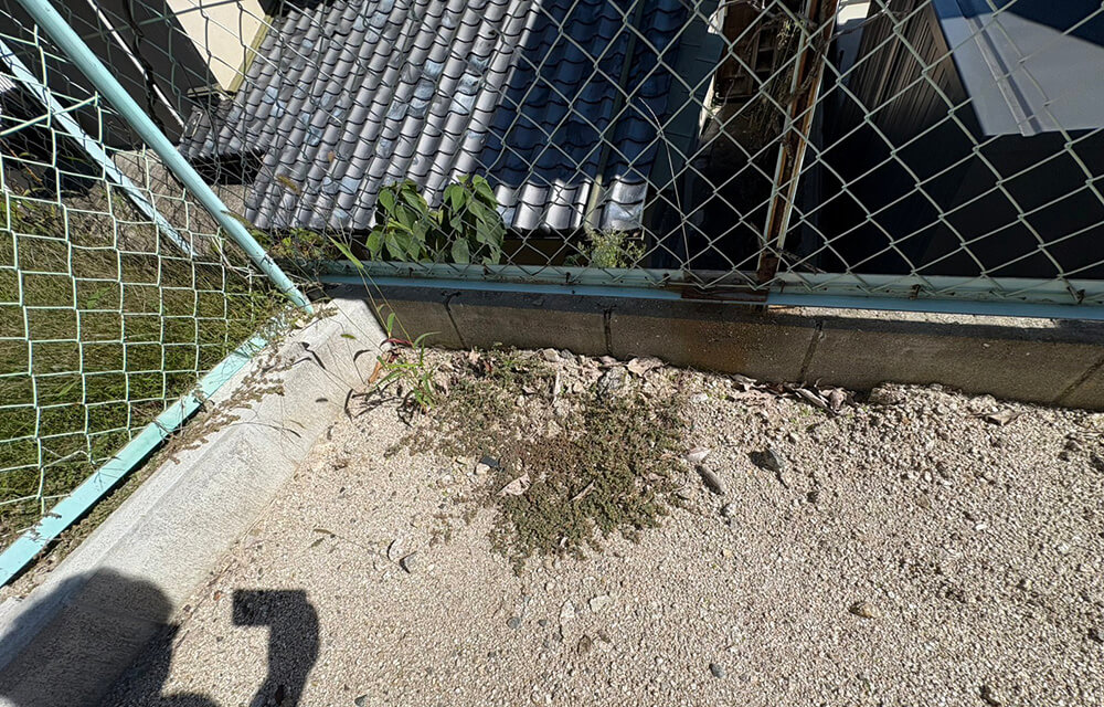 西区新庄町土地