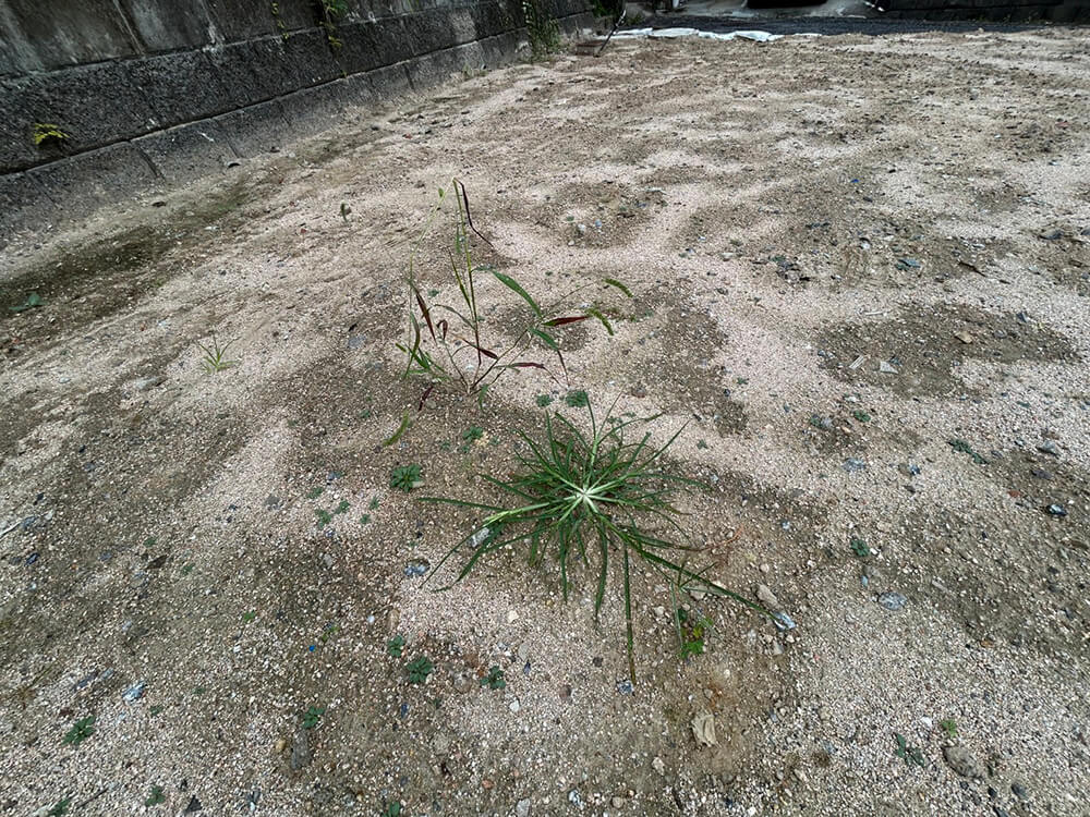 安佐南区高取北三丁目新築