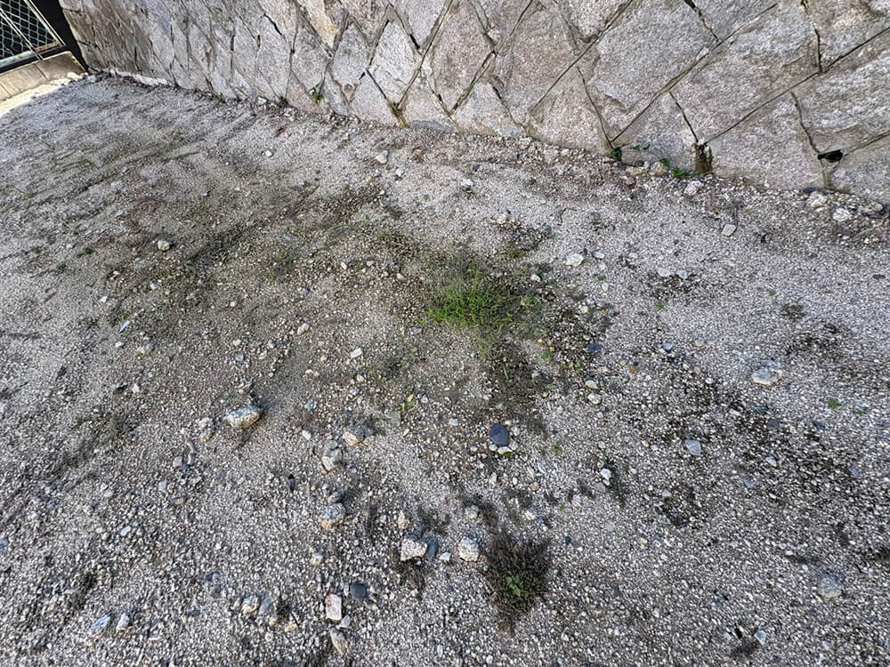 西区新庄町土地