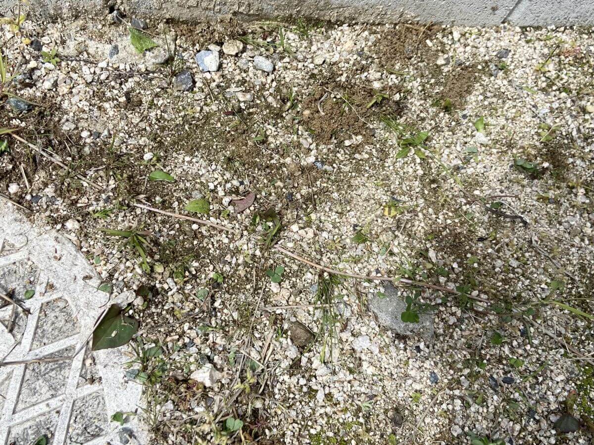 廿日市市宮内字的場 土地