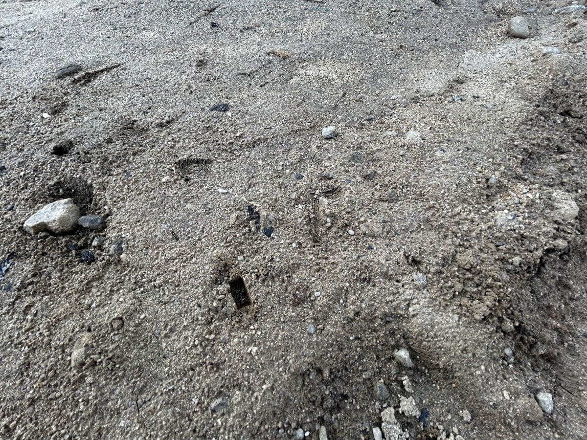 安佐南区八木四丁目 新築№2