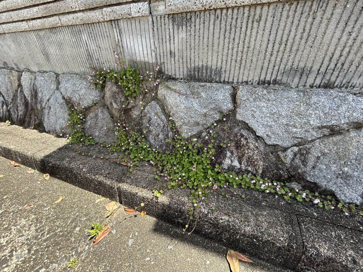 廿日市市阿品四丁目　土地