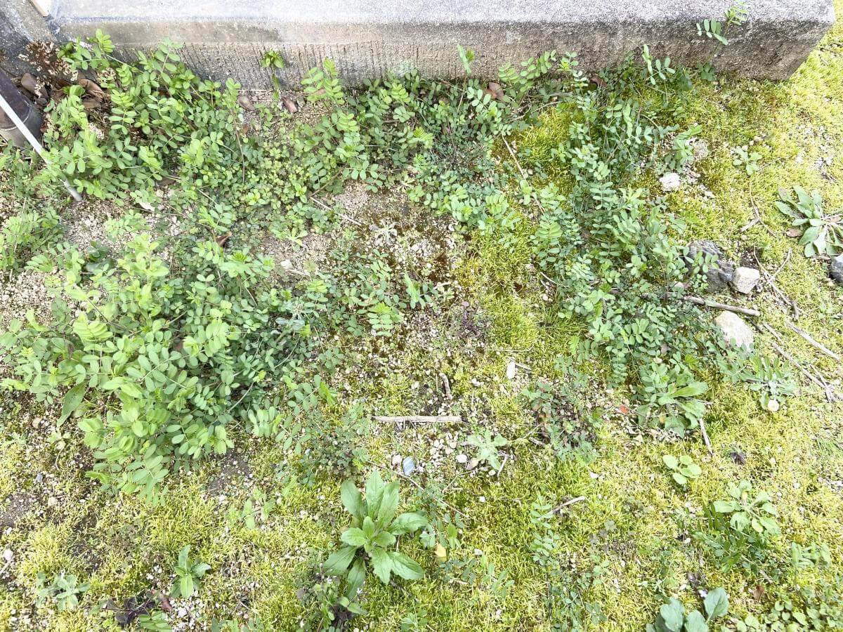 安佐南区高取南二丁目古家付土地