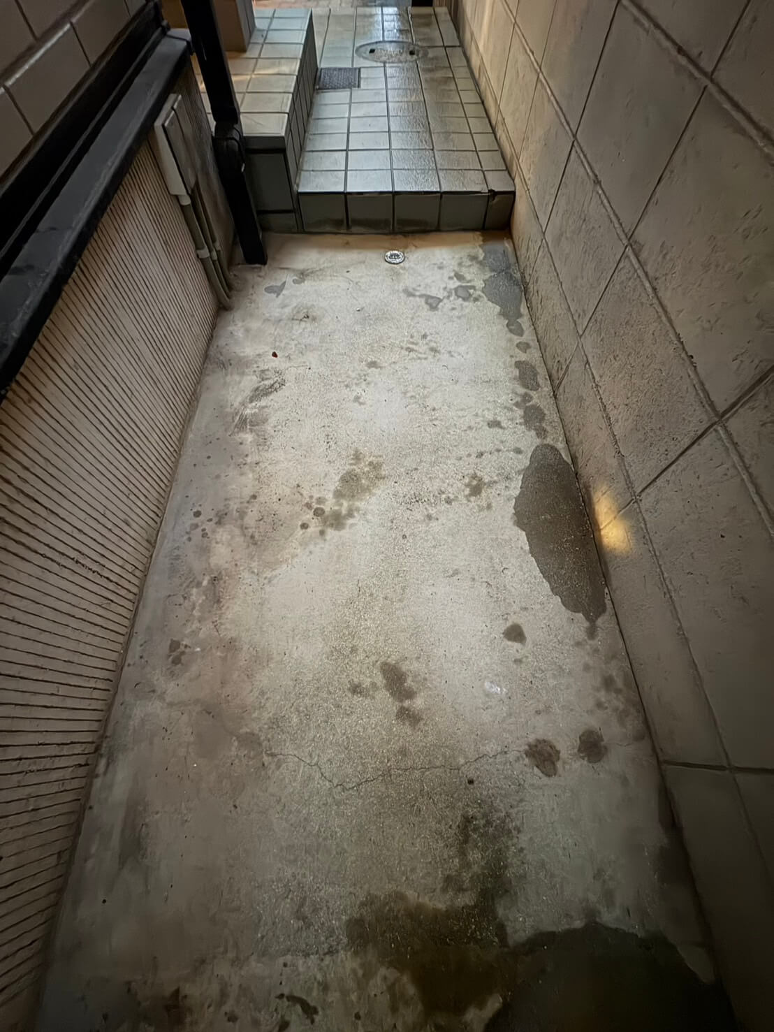 南区向洋新町三丁目 戸建