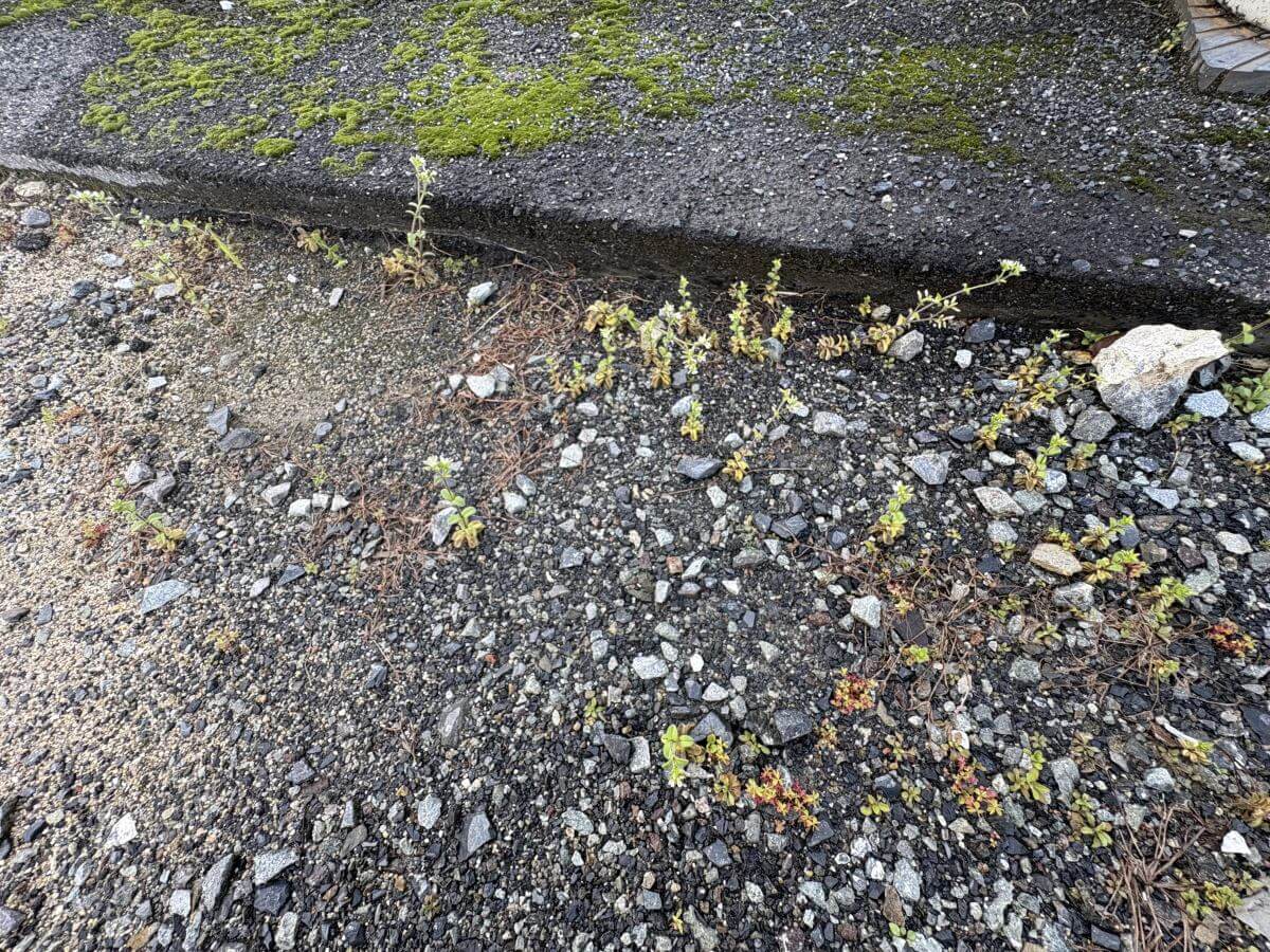 安佐北区口田南二丁目土地