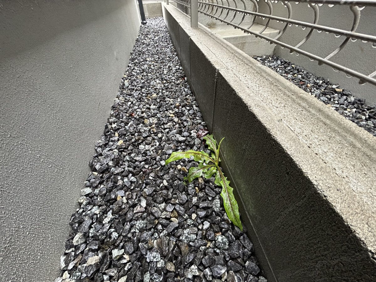 廿日市市大野字鯛ノ原新築 №2