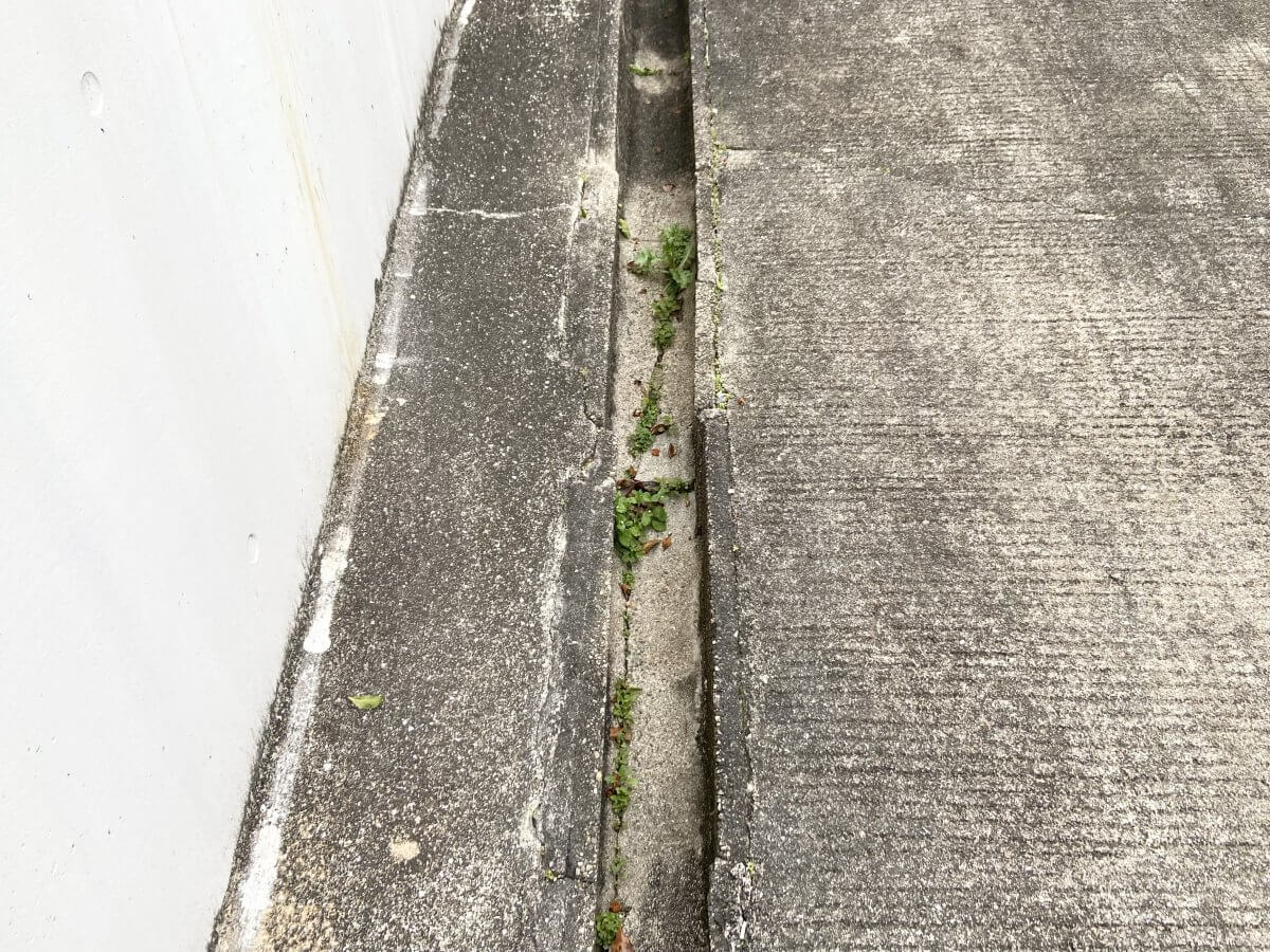 廿日市市八坂二丁目 土地