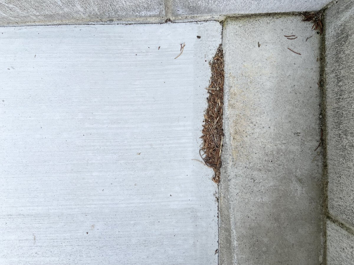 安佐南区上安七丁目新築 №1