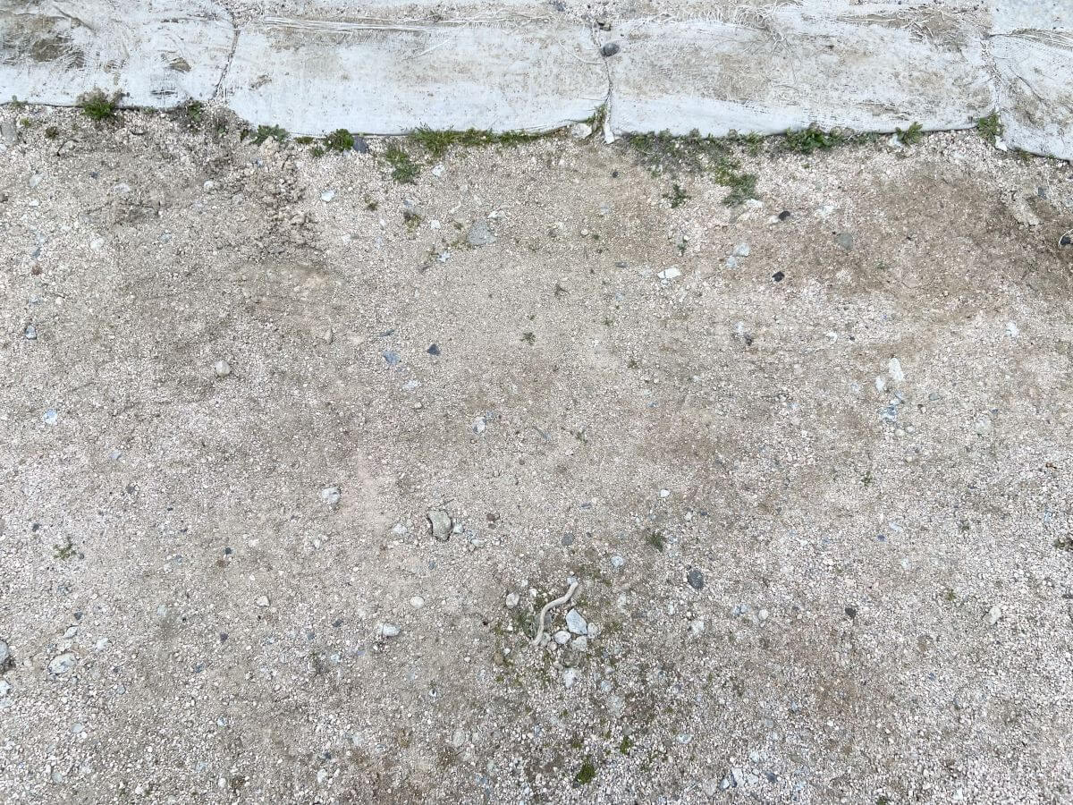 安佐南区川内二丁目土地 №1