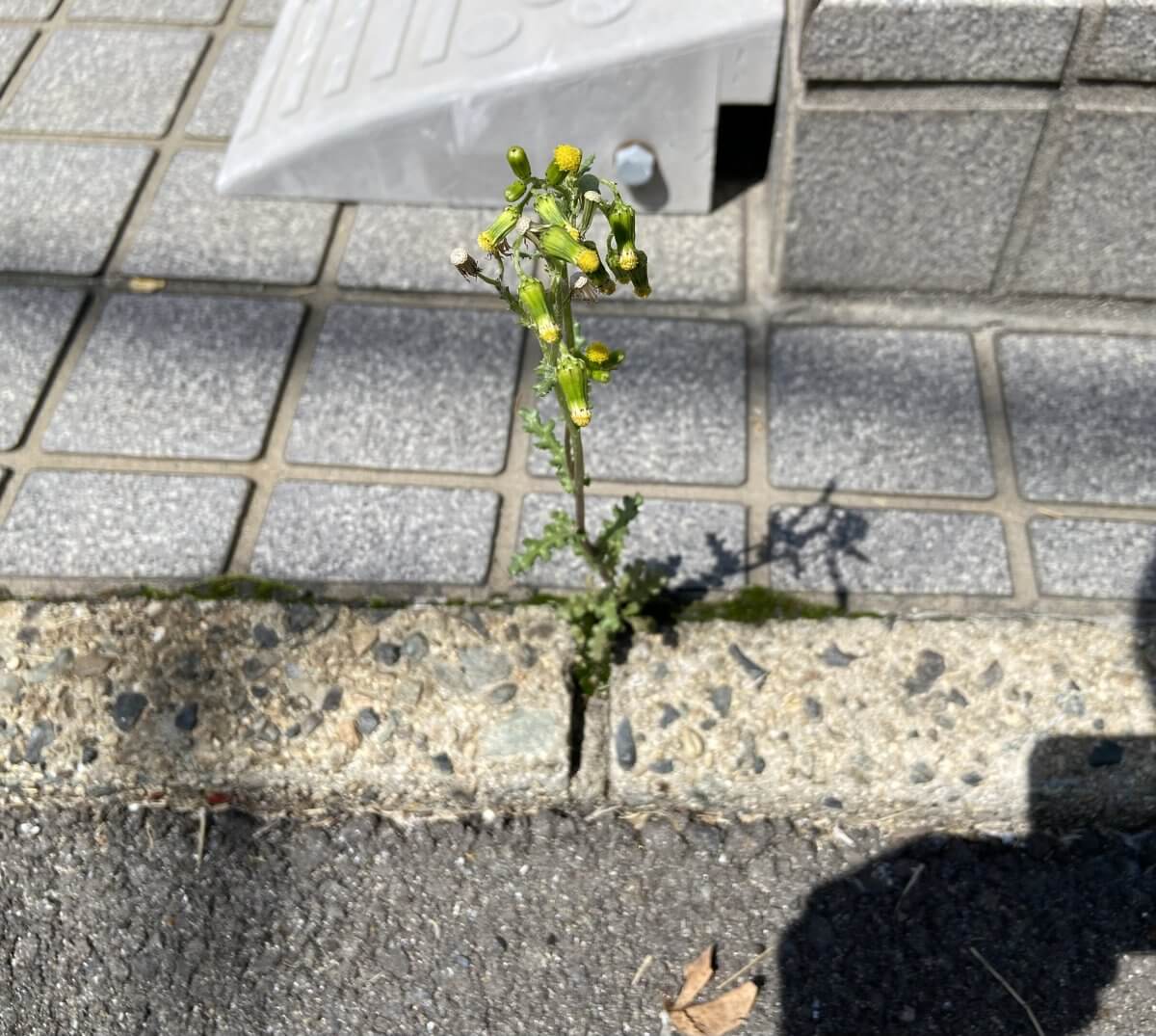 南区旭一丁目 土地