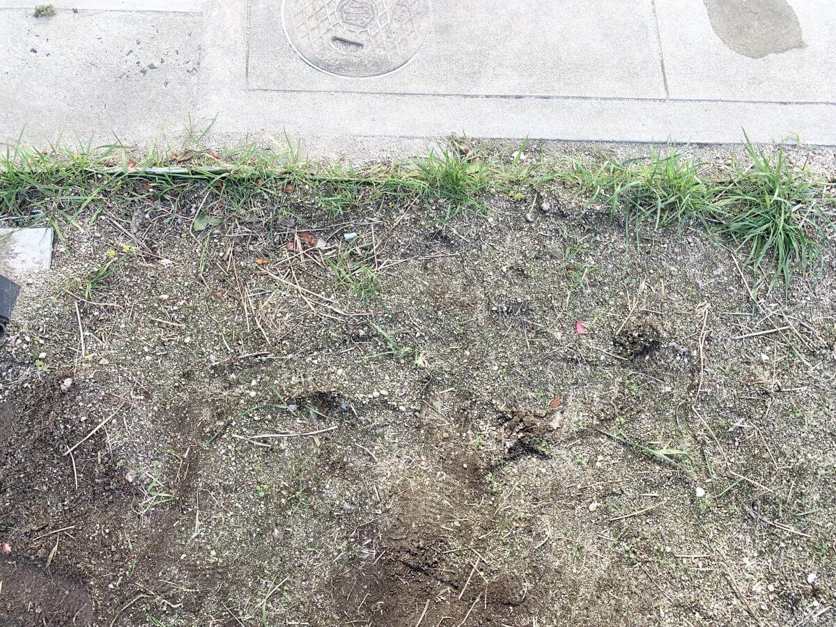 西区己斐大迫二丁目戸建