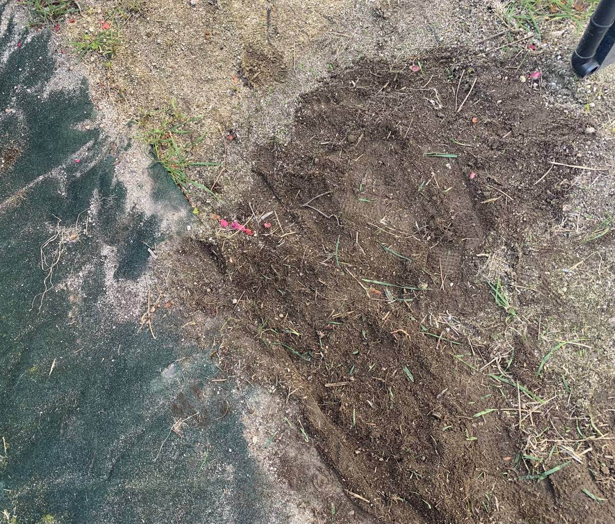 西区己斐大迫二丁目戸建