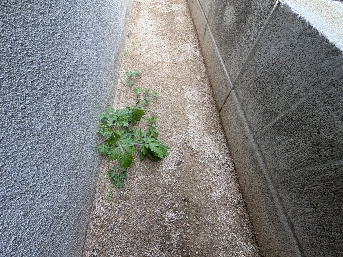 安佐南区上安七丁目新築 №9