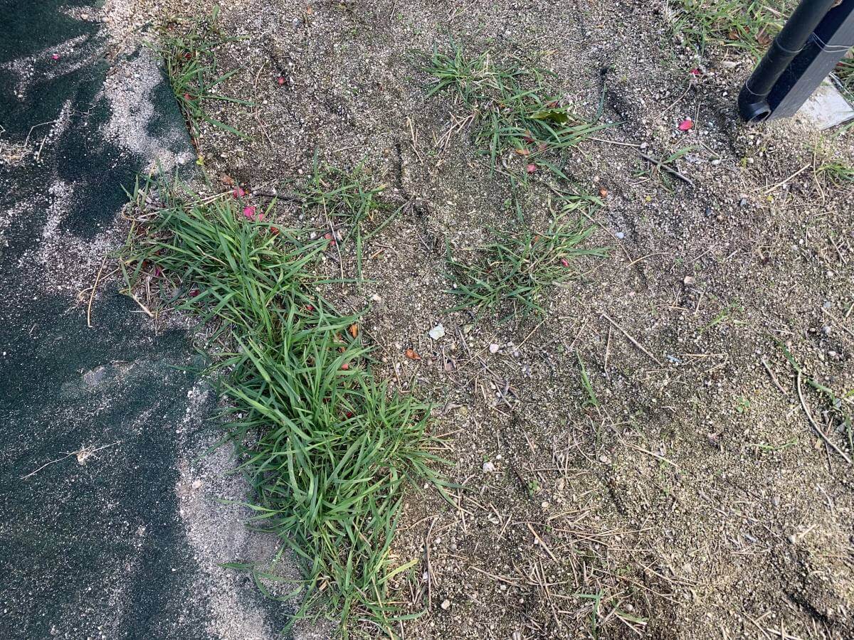 西区己斐大迫二丁目戸建