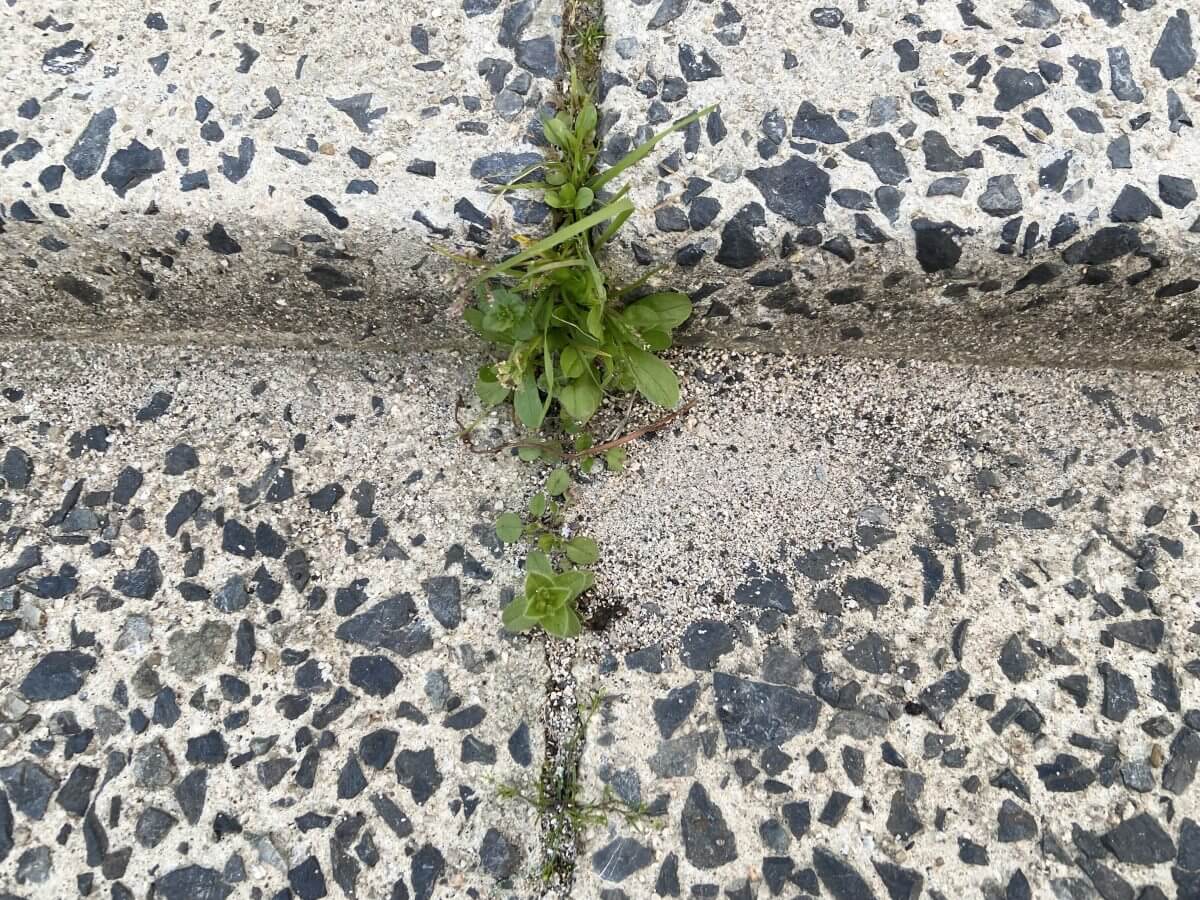 安佐南区相田五丁目新築 №2