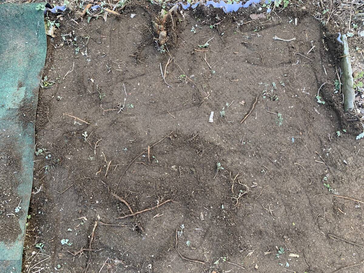 西区己斐大迫二丁目戸建