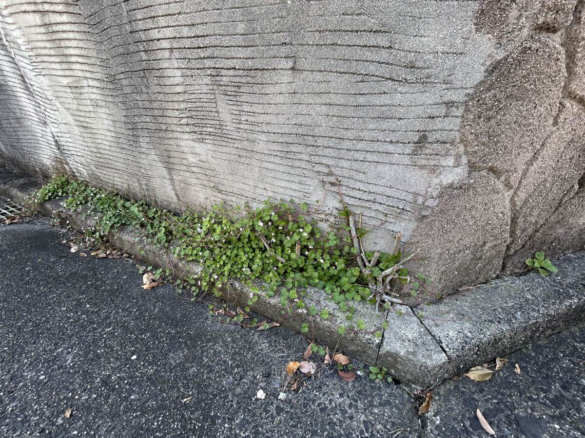 廿日市市阿品四丁目　土地