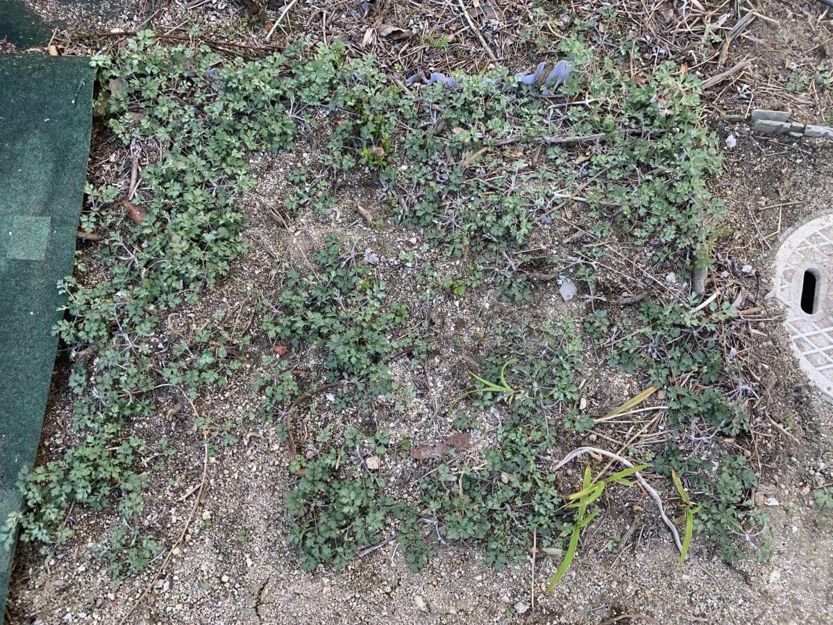 西区己斐大迫二丁目戸建